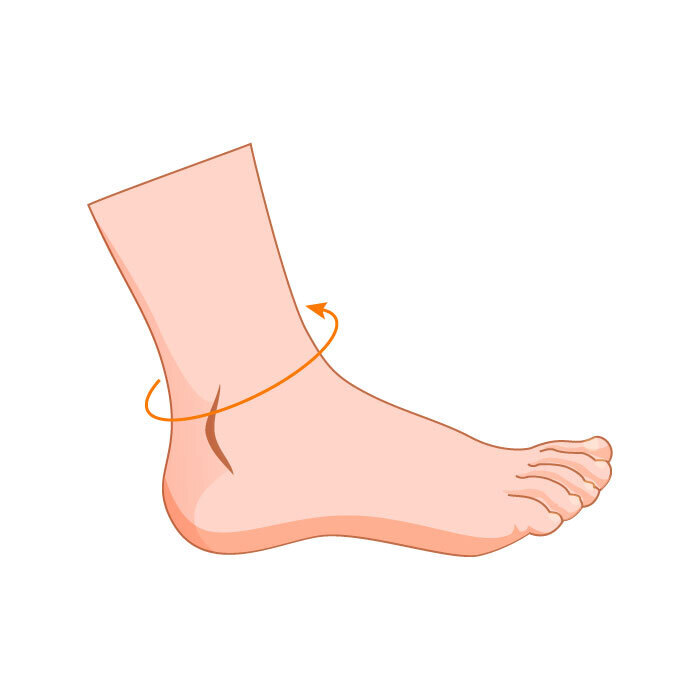 Ankle Measurement Diagram