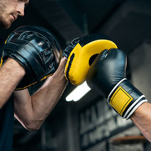 Combat Sports Gloves