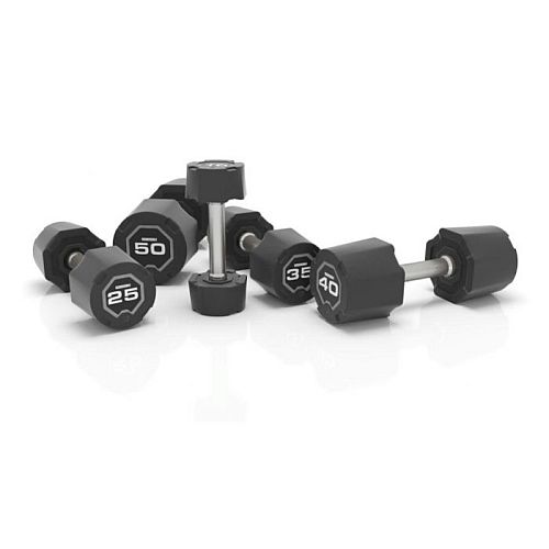 All Free Weights