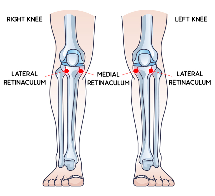 The medial and lateral