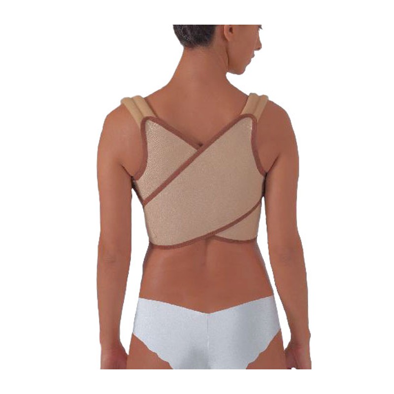 Wholesale Double Strong Auxiliary Support Bar Padded Posture Belt