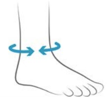 Ankle Measurement image